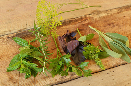 명이나물 장아찌 황금 레시피 및 재배법 (+ 모종 판매 수확시기 먹는 법)