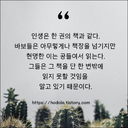 짧은글귀
