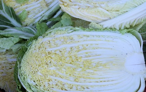 이마트 절임배추 예약