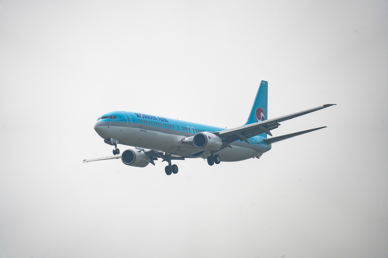 설날 임시공휴일