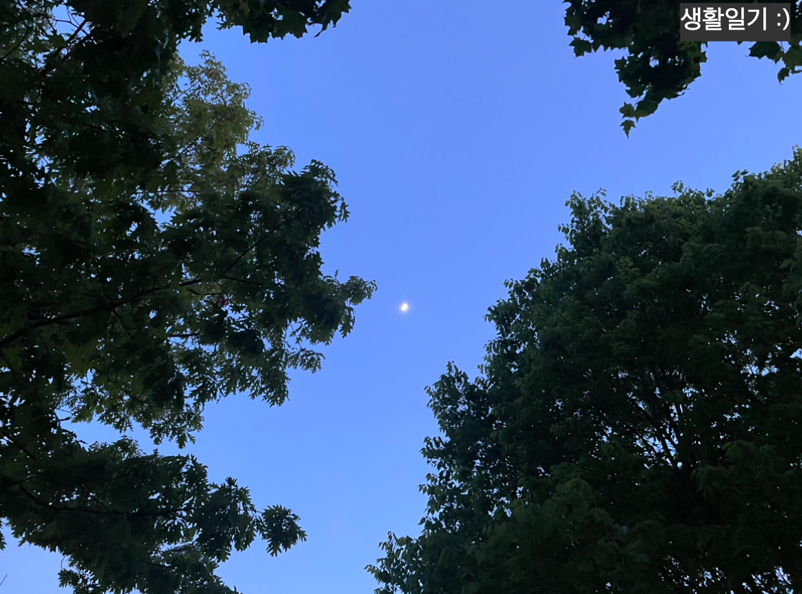 일상을 채우는 취향들