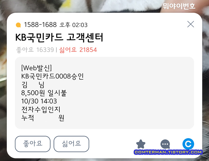 국제운전면허증 발급 수수료