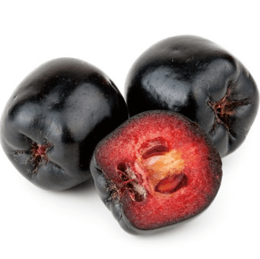 아로니아 분말 먹는 가장 좋은 방법(복용법) 알아보기