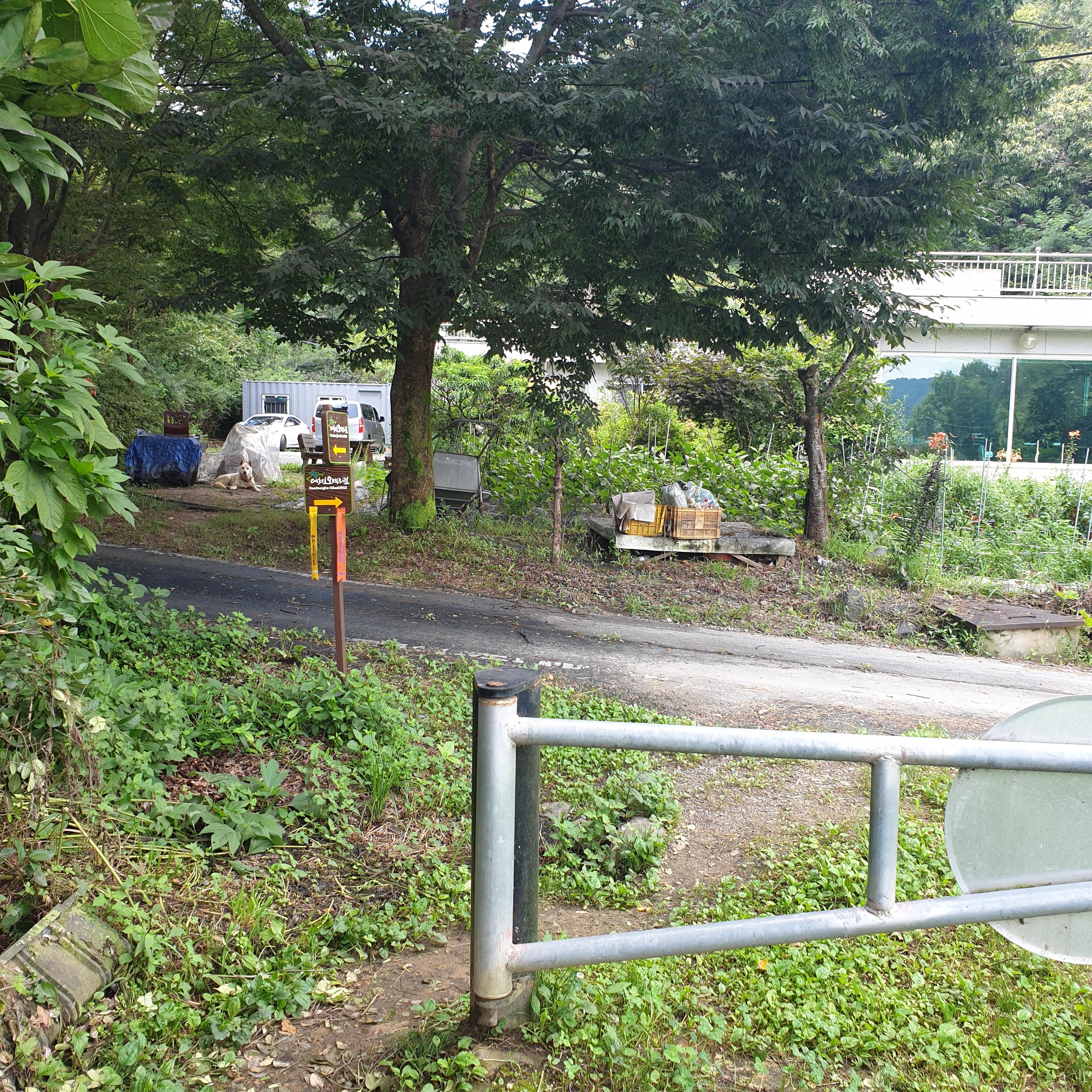 황새쉼터 지나 표지판