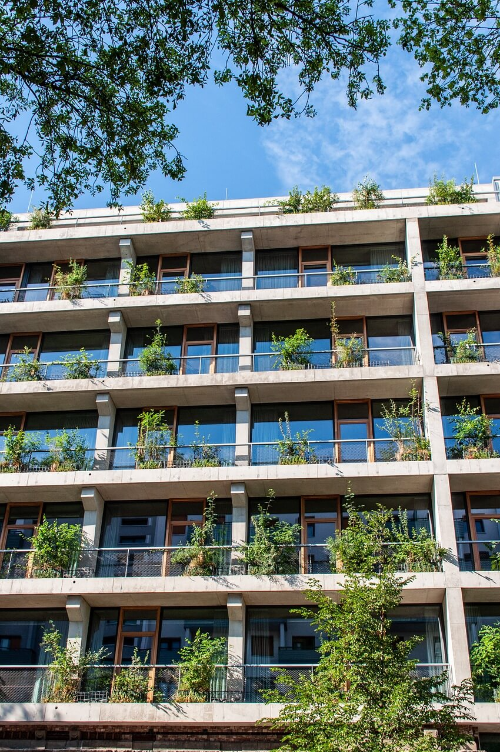 도시 녹화와 그린 인프라