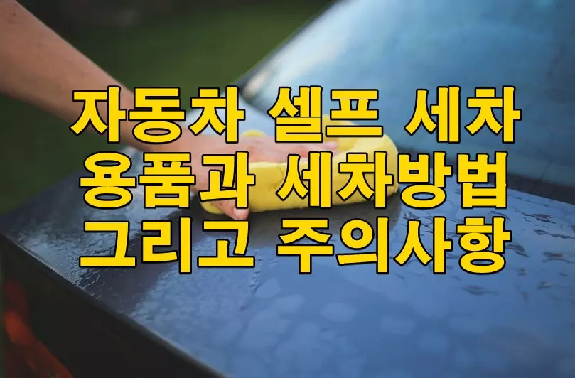 자동차 셀프 세차