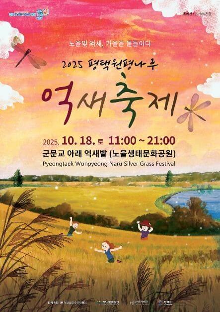 2025 평택 원평나루 억새축제 일정 및 교통, 맛집, 주변명소 사진