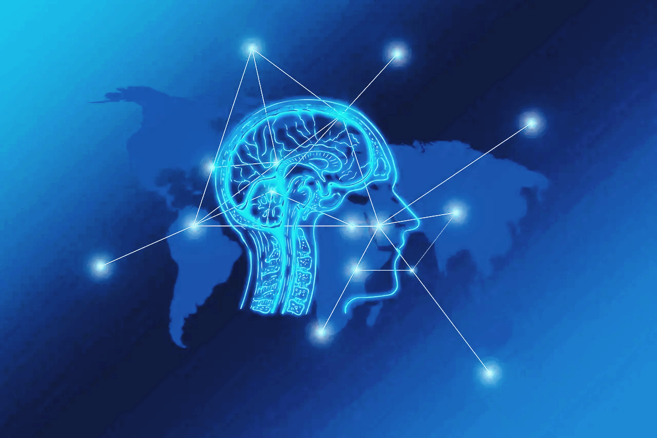 뇌 과학이 밝히는 집중력 향상 비법과 주의력 관리