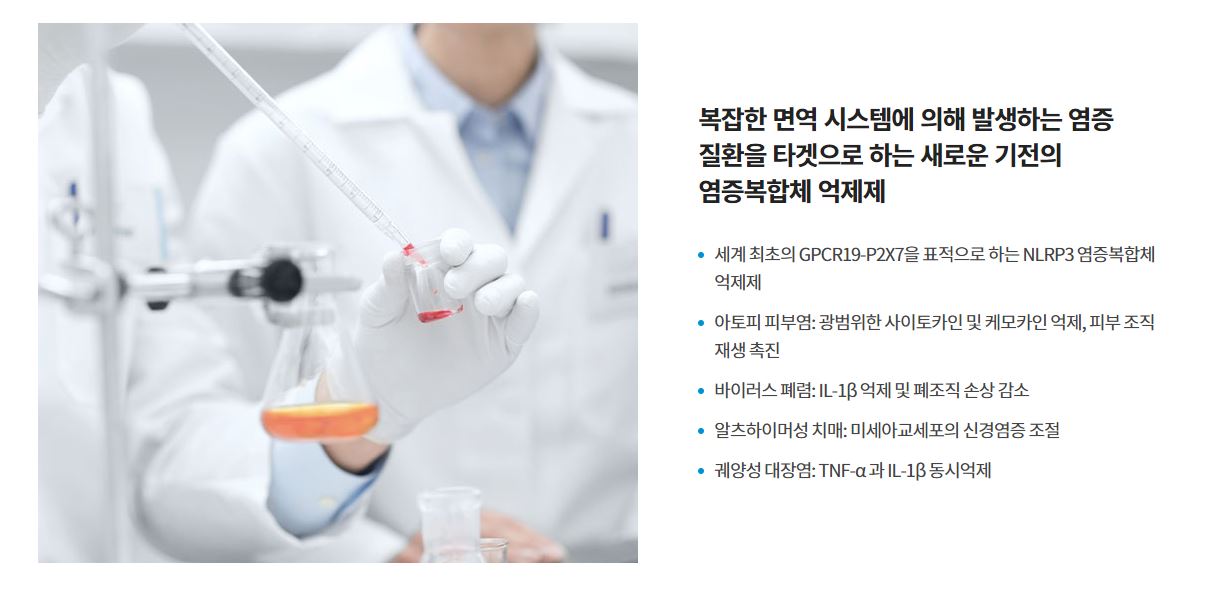 기업개요