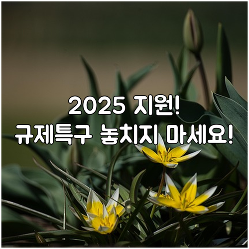 중소기업 2025 규제자유특구 지원,..