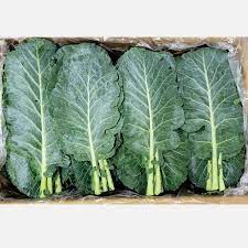 뼈에 좋은 음식