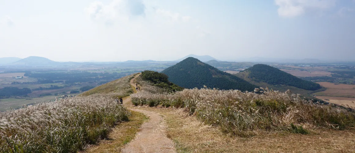 제주 새별오름 오르기 좋은 시간과 주변 명소 정리_5