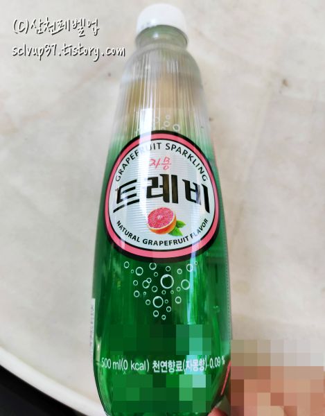 롯데칠성음료 트레비 탄산수 자몽맛 500ml