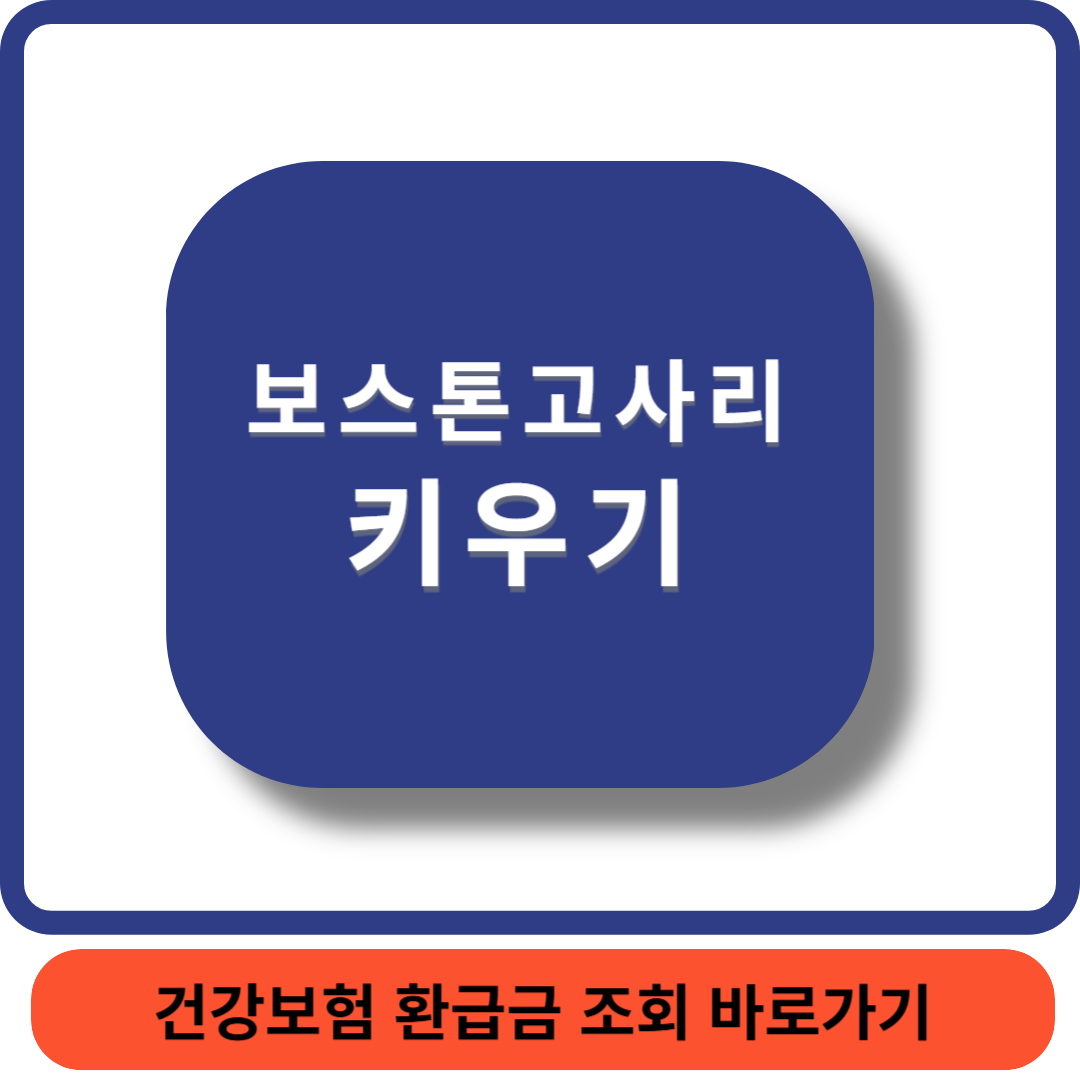 보스톤고사리썸네일