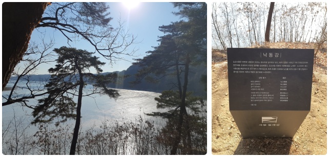 도산서원 앞 낙동강