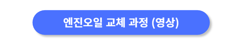 버튼