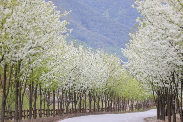 국립 백두대간수목원