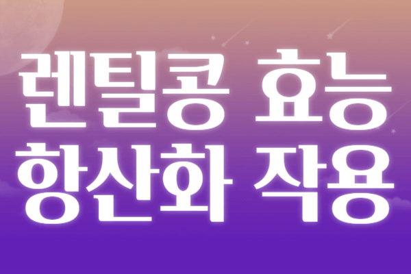 렌틸콩 효능 부작용