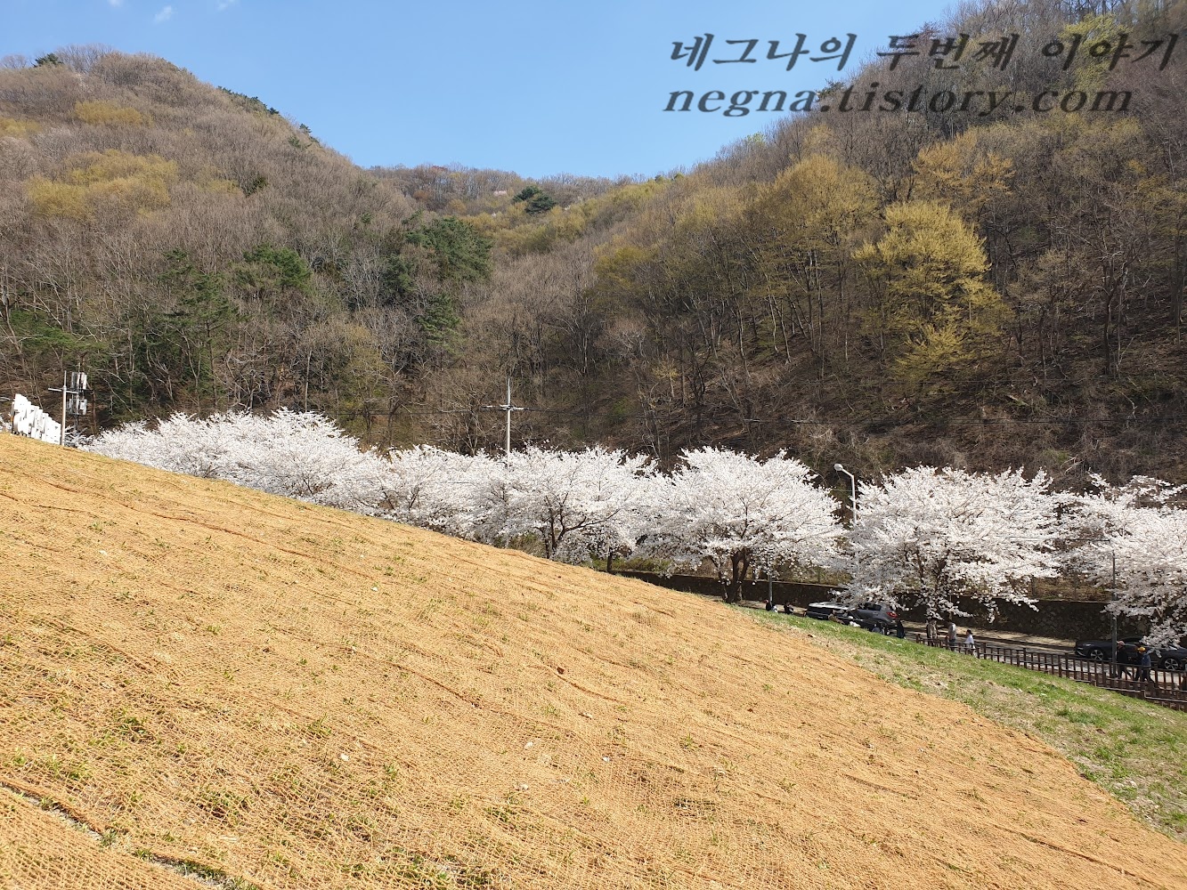 저수지 올라가는 길에서.