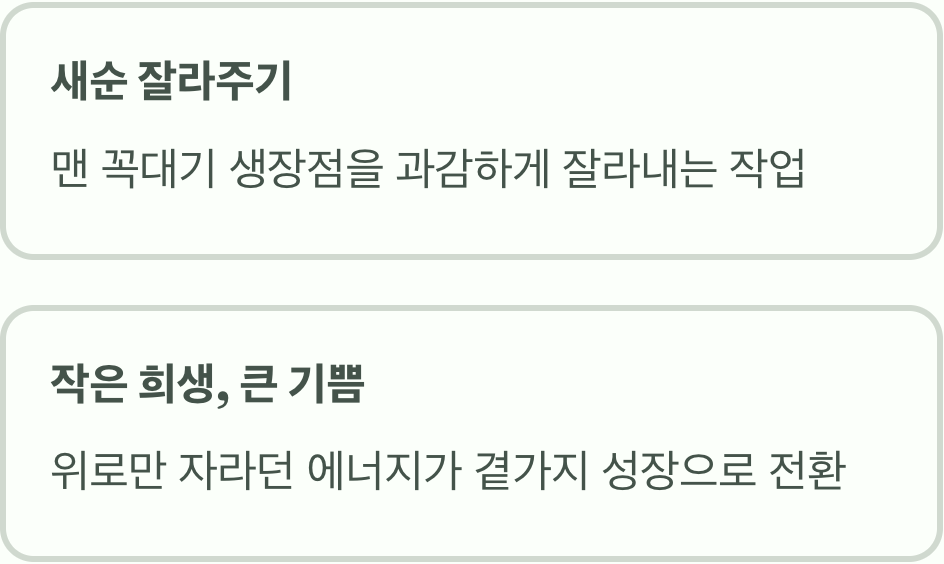 &amp;#39;순지르기&amp;#39;가 뭐죠? 작은 희생&amp;#44; 큰 기쁨