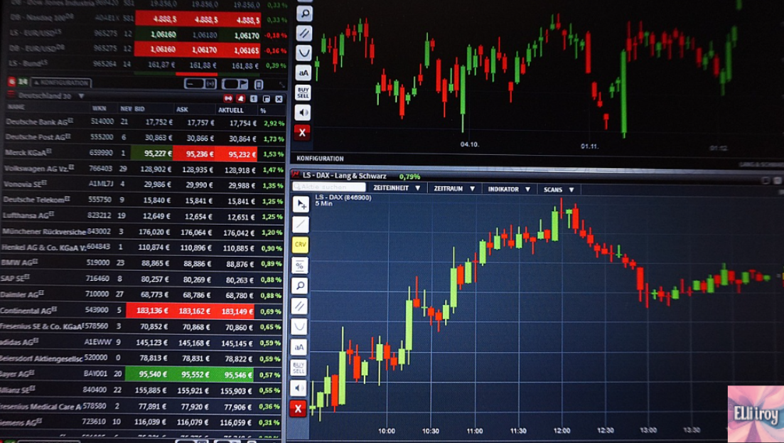 월가의 선택 관련 이미지