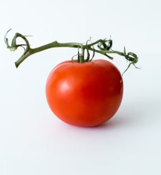 토마토 효능 부작용 고르는법 칼로리