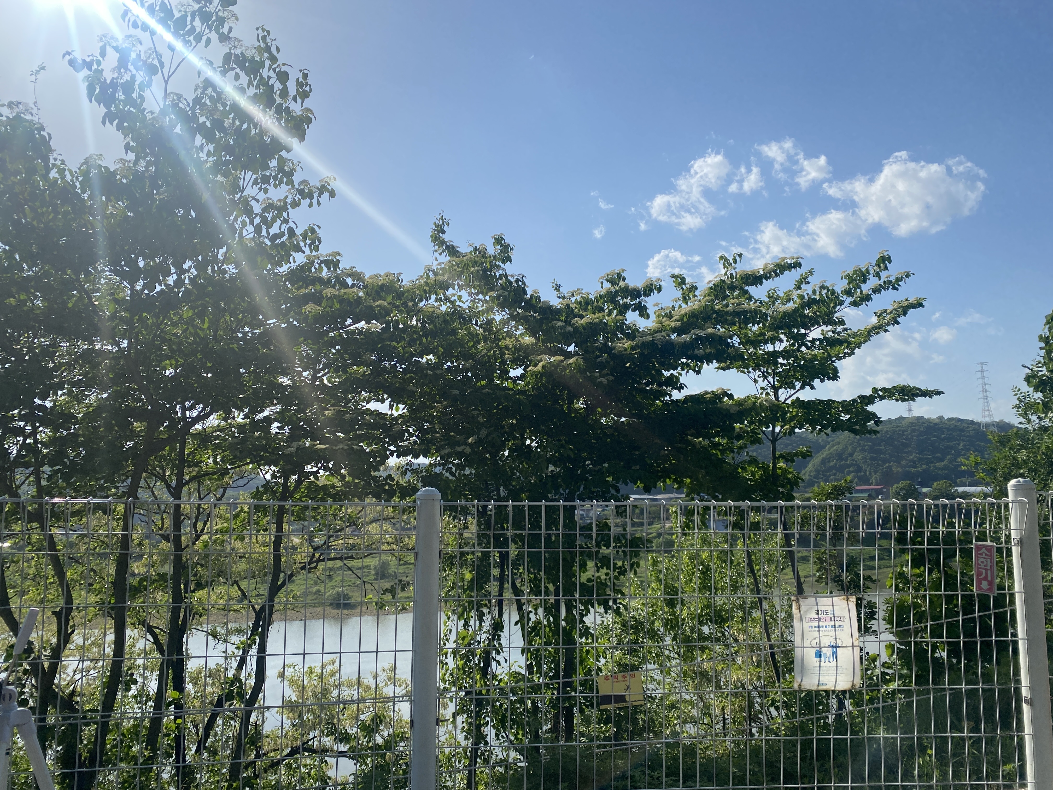 파주 강나루야영장