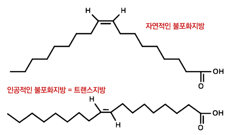 불포화지방vs트랜스지방