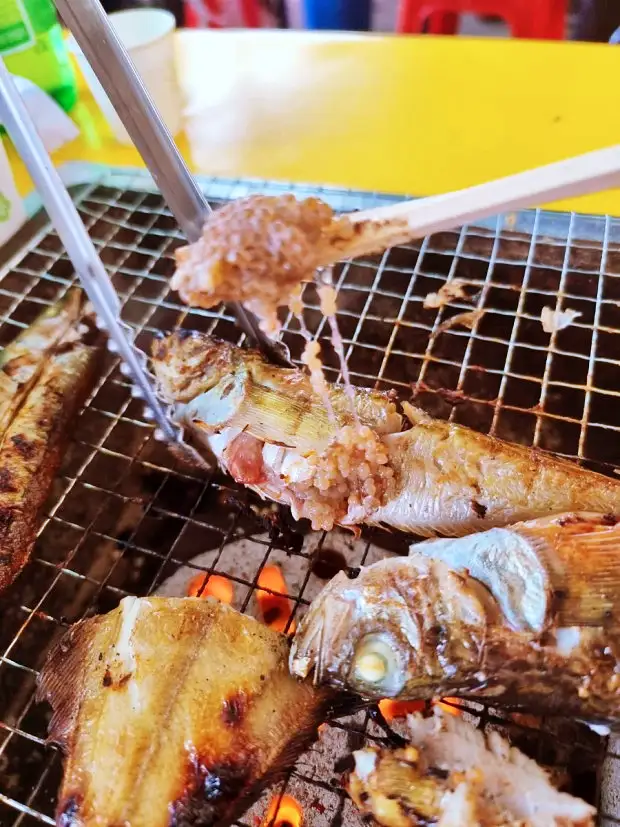 도루묵 찌개 구이 조림 고소한 알이 톡톡 강원 고성 맛집 먹자 포구 추천