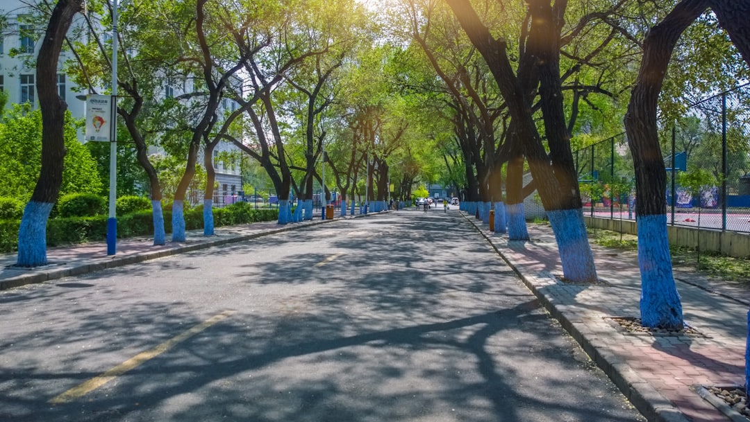 Harbin