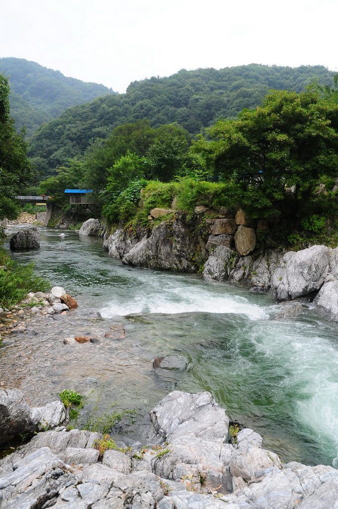 가평 명지 계곡 물놀이 주변 맛집 카페 마트 시장 특산물 강아지 동반 정보