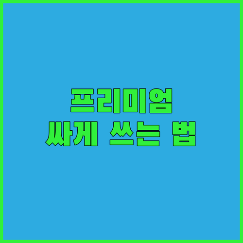 유튜브 프리미엄, 똑똑하게 할인받고 