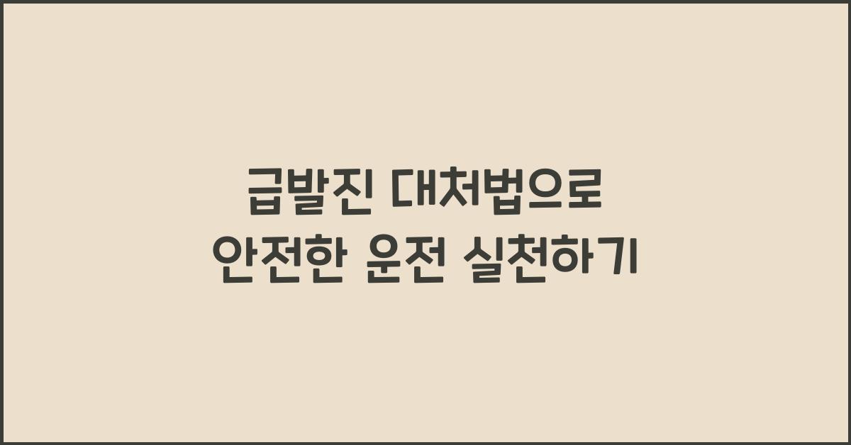 급발진 대처