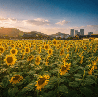 가을꽃 종류 5가지