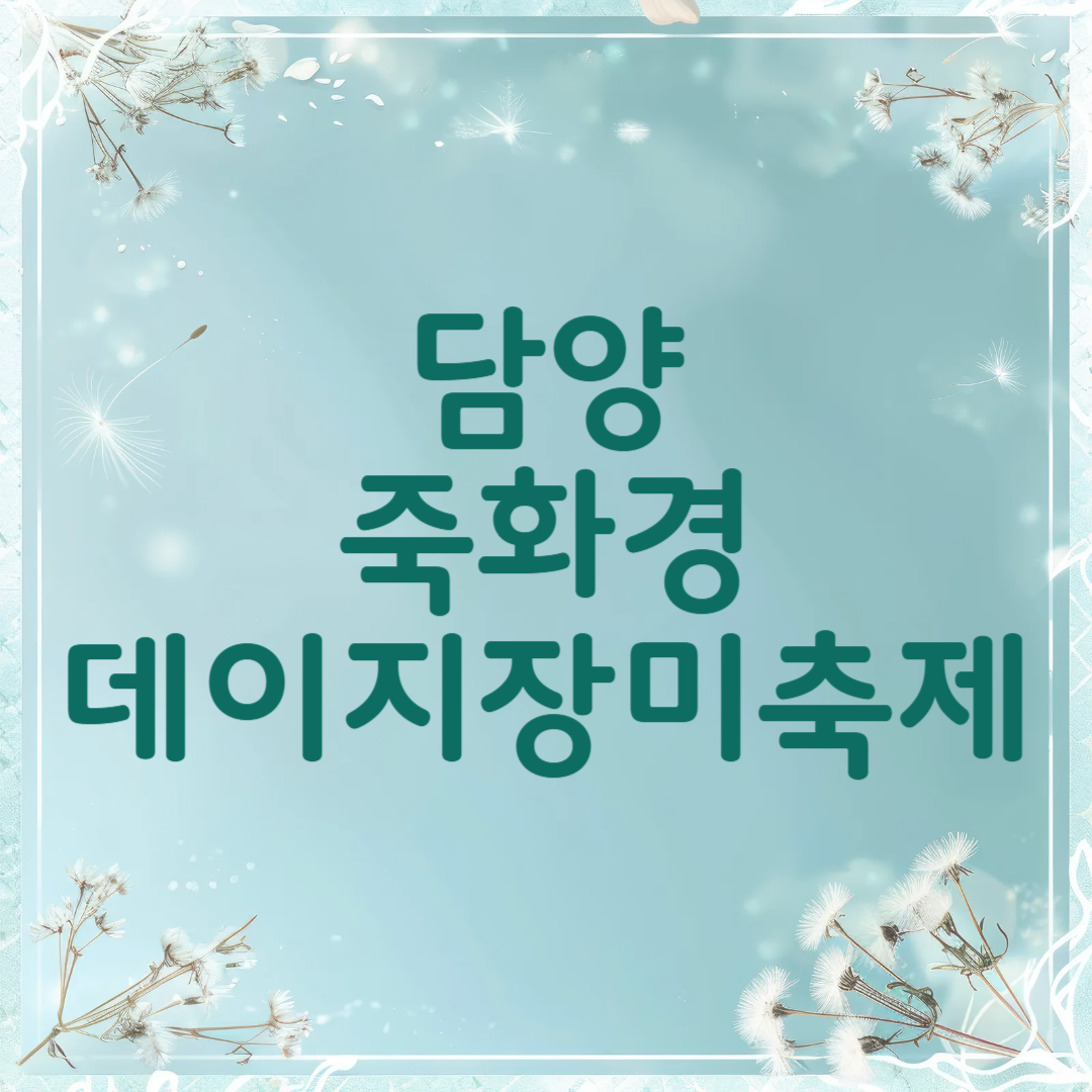 담양 죽화경 데이지 장미축제