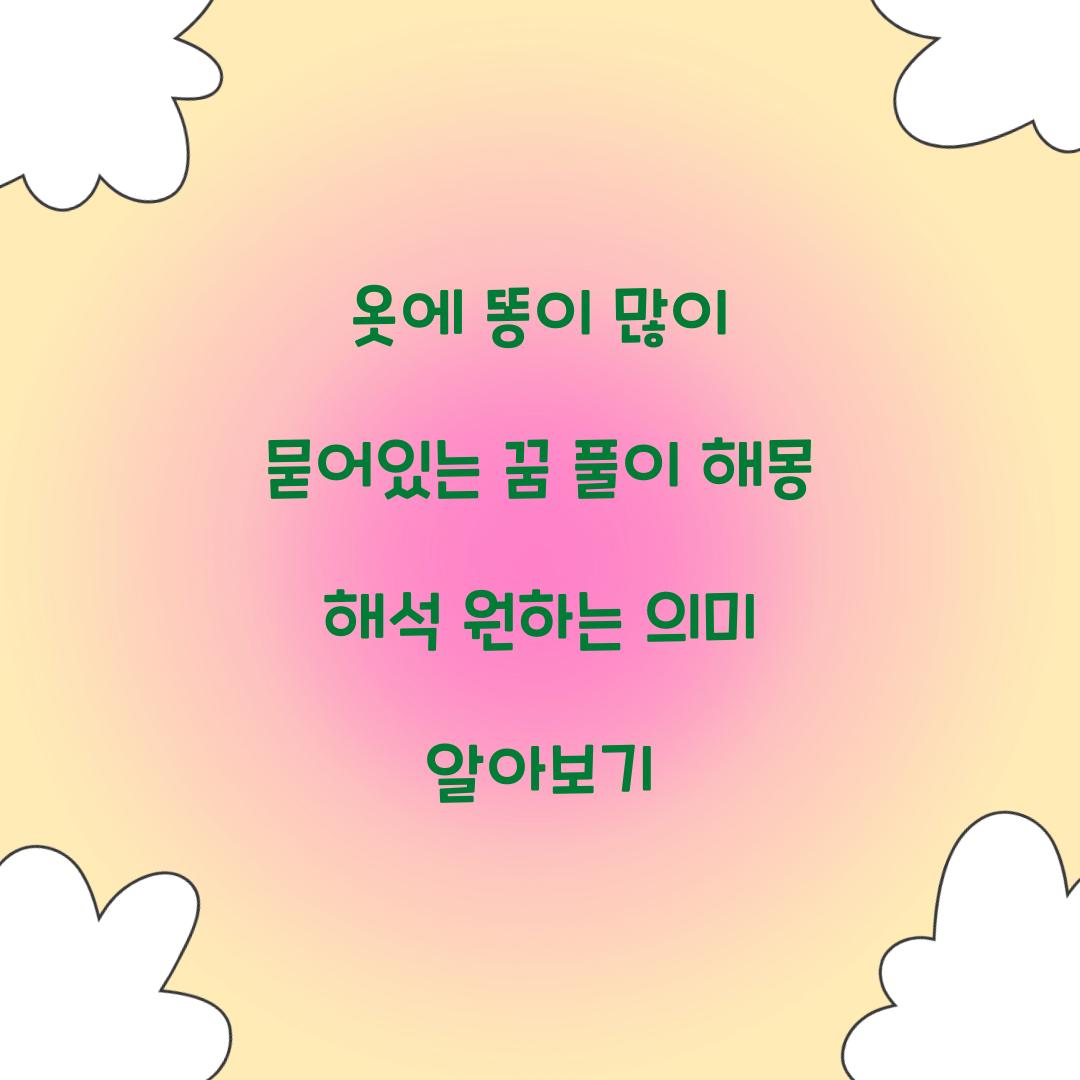 옷에 똥이 많이 묻어있는 꿈 풀이 해몽 해석