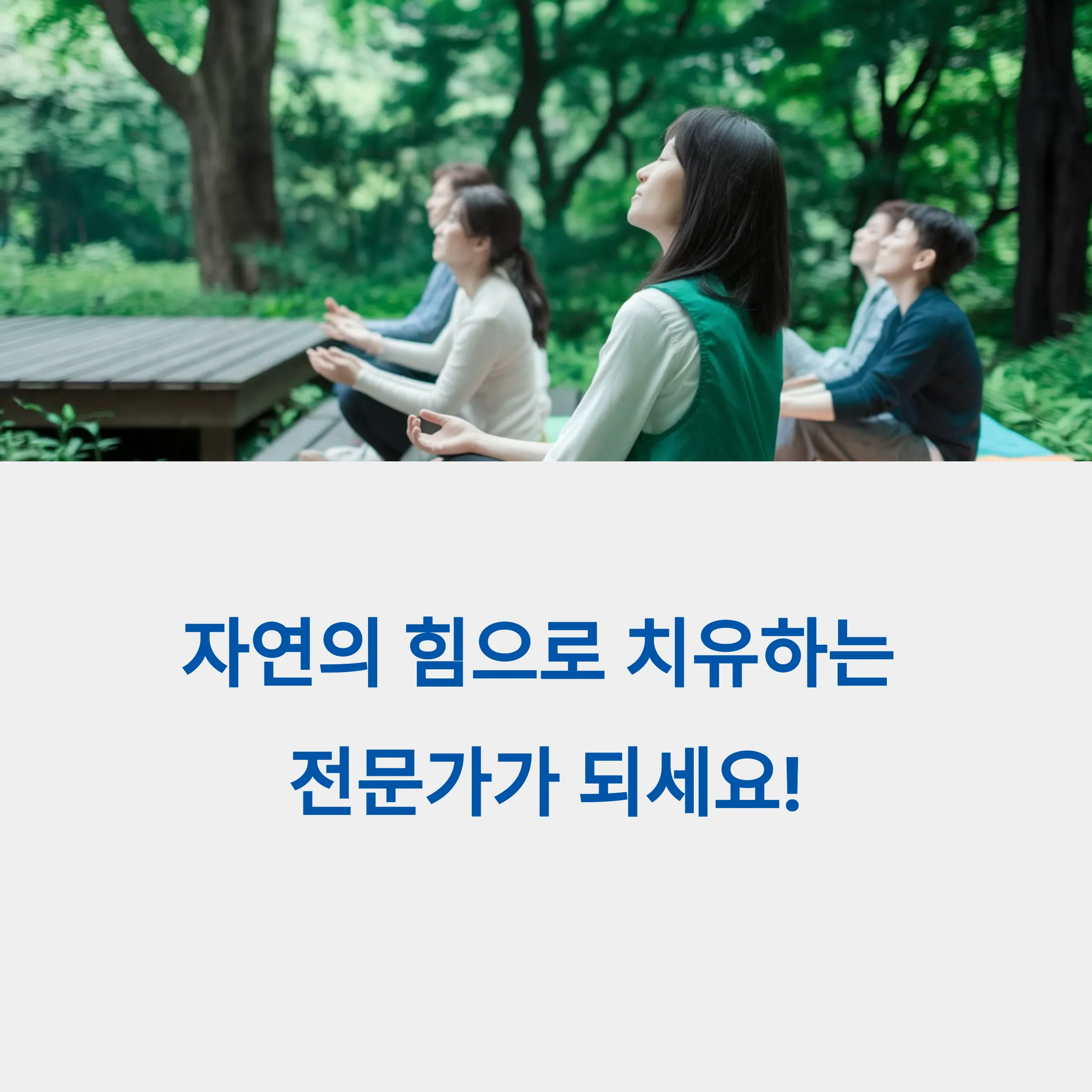 2급 산림치유지도사