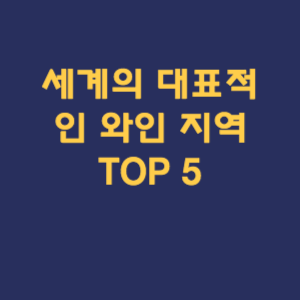 세계의 대표적인 와인 지역 TOP 5