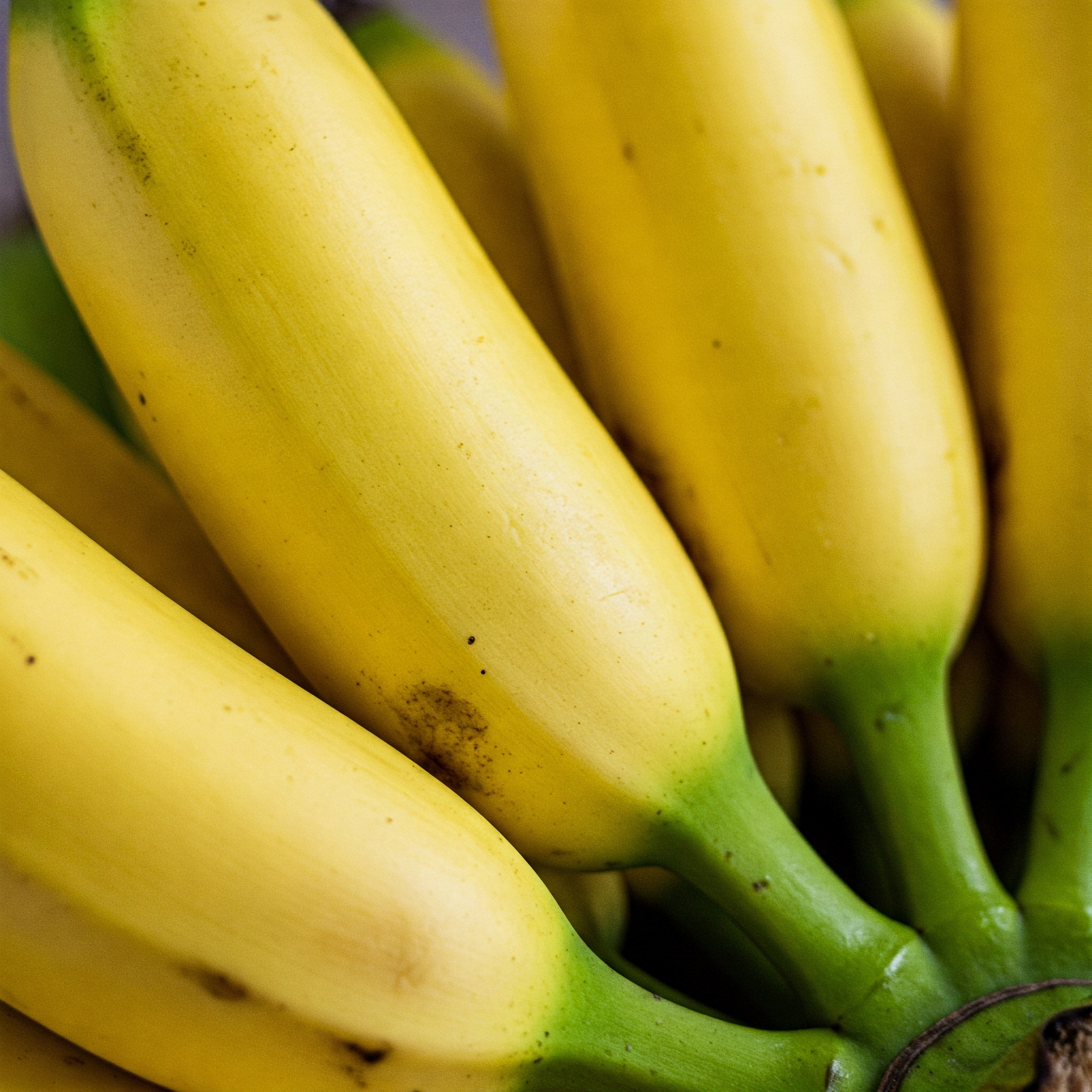 갱년기 호르몬 밸런스에 좋은 음식 바나나