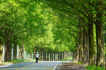 한적한 힐링 여행지 – 조용하게 자연 속에서 힐링할 수 있는 숨은 명소