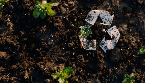 폐가전제품무상수거