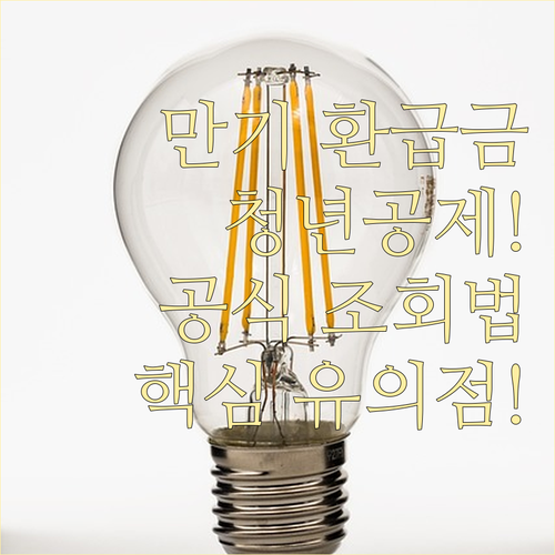 청년내일채움공제 만기 환급금 공식 조..