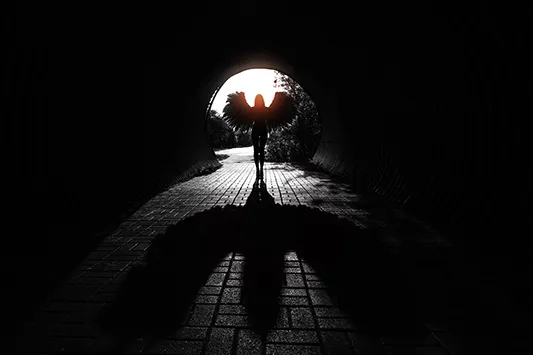 정몽