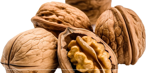 1 당뇨에 좋은 음식 