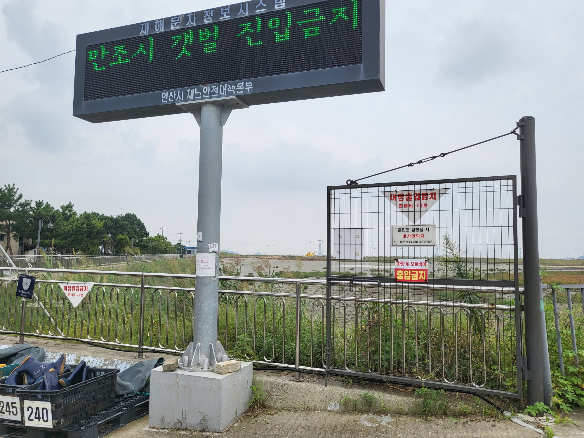 탄도항 - 갯벌체험2