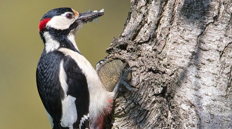 큰 돈 줍는 꿈해몽 - 재물의 상징과 의미