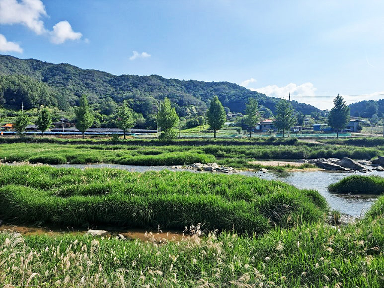 강원도 횡성 청일파크골프장 소개