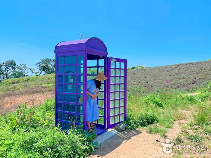 보라색 전화기 부스에 한여자가 있다.