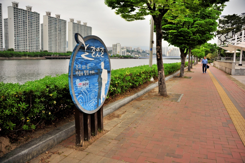 센텀 APEC 나루 공원