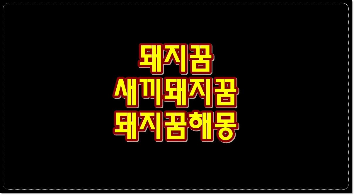 돼지꿈-새끼돼지꿈-돼지-꿈해몽